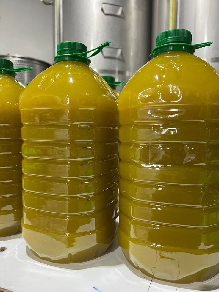 قيس لزيت الزيتون