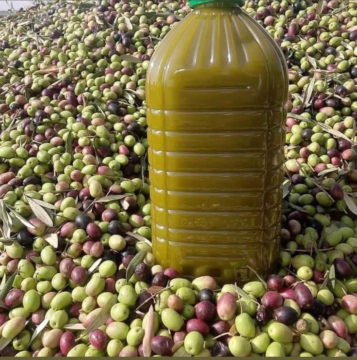 قيس لزيت الزيتون