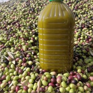 قيس لزيت الزيتون البكر الممتاز